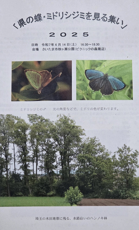 �~�h���V�W�~������W��