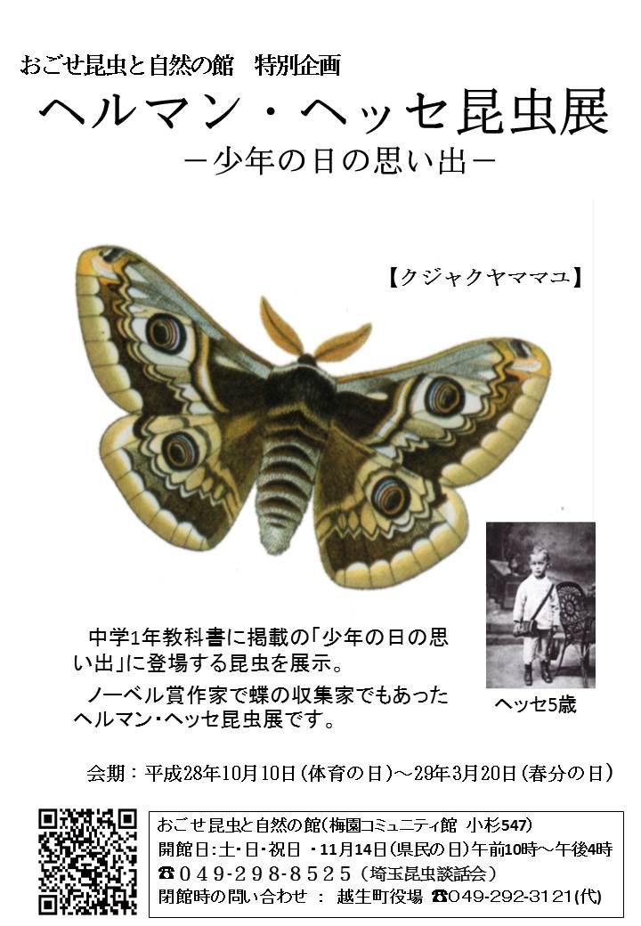 �w���}���w�b�Z�����W